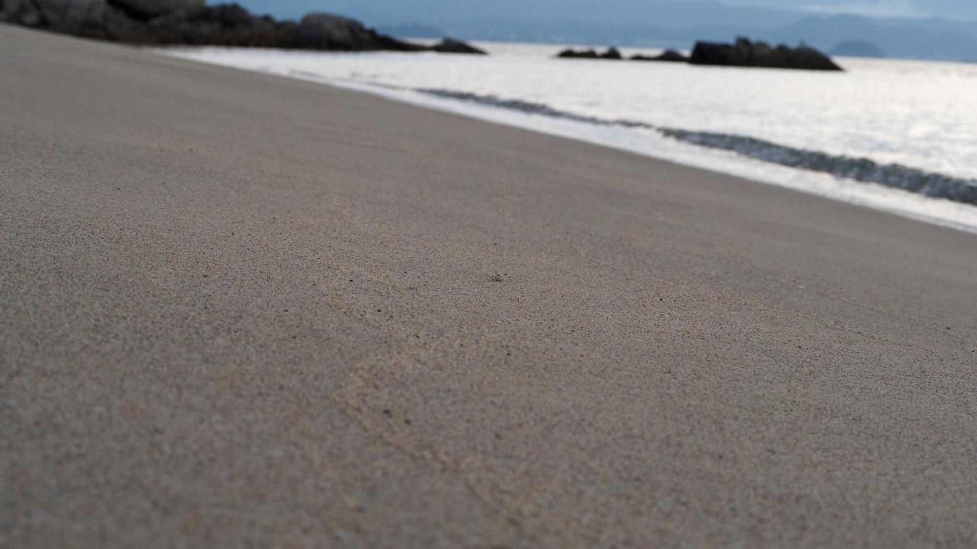 Alfacio Resort Stay 糸島市 エクステリア 写真